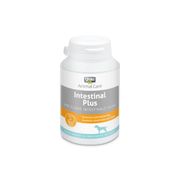 Complément alimentaire naturel INTESTINAL Plus pour flore intestinale